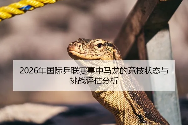 2026年国际乒联赛事中马龙的竞技状态与挑战评估分析