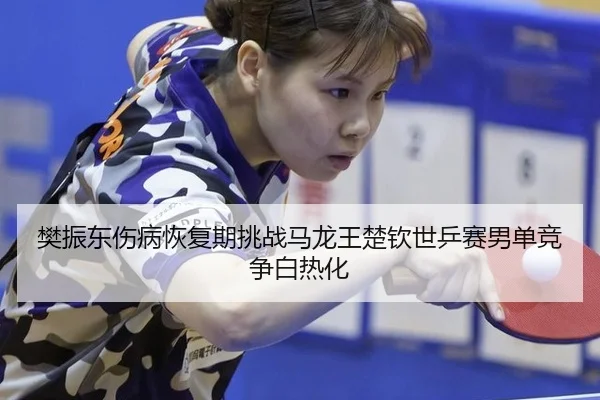 樊振东伤病恢复期挑战马龙王楚钦世乒赛男单竞争白热化